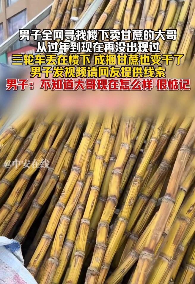 3月24日，四川。男子全网寻找楼下卖甘蔗的大哥，从过年到现在再没出现过，三轮车丢