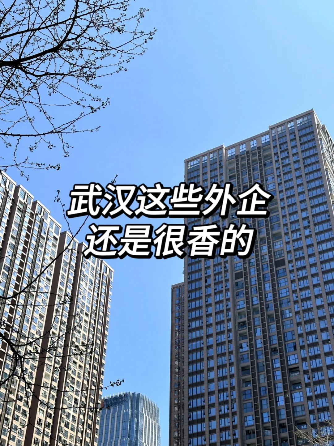 武汉这些外企还是很香的