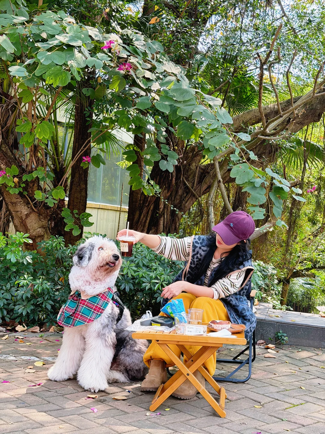 很久没跟我的小狗一起喝咖啡了