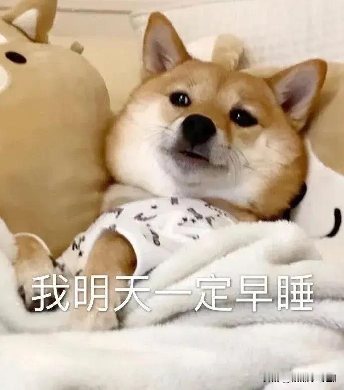 是什么让你一直熬夜#你今天睡好了吗# #你喜欢早起吗？# #想睡点儿懒觉# #熬