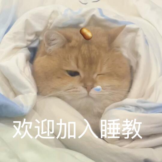 🥔周一表情包 ｜欢迎加入睡教