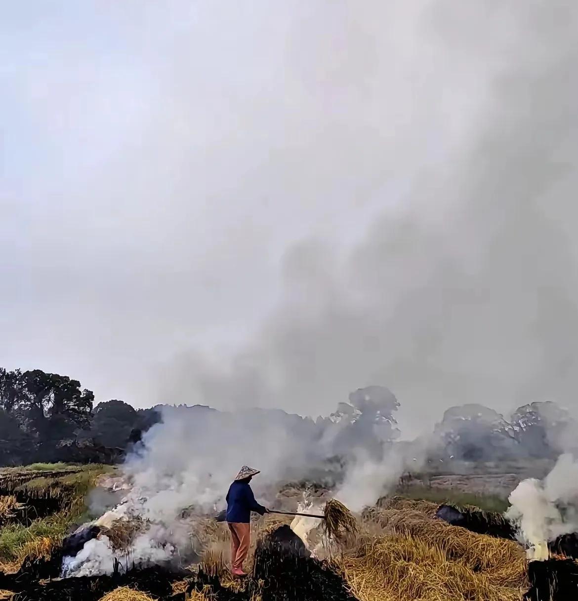 以前秸秆拉回家烧，灶台冒烟，天是蓝的。现在秸秆在地里烧，专家说这是雾霾元凶。
