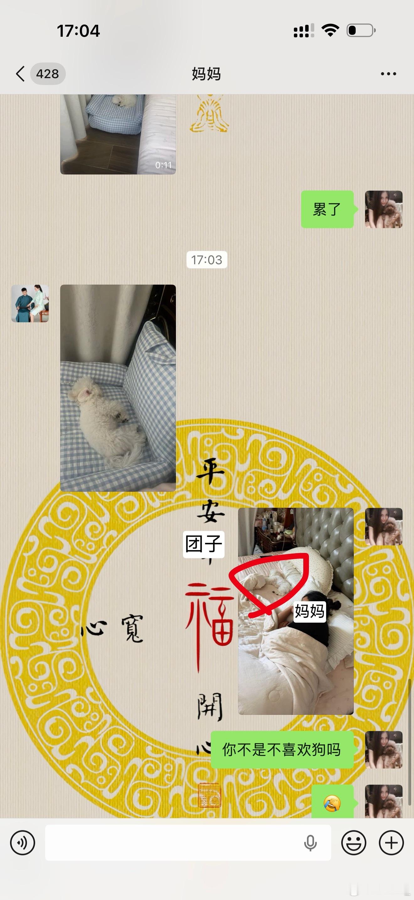 真香了 