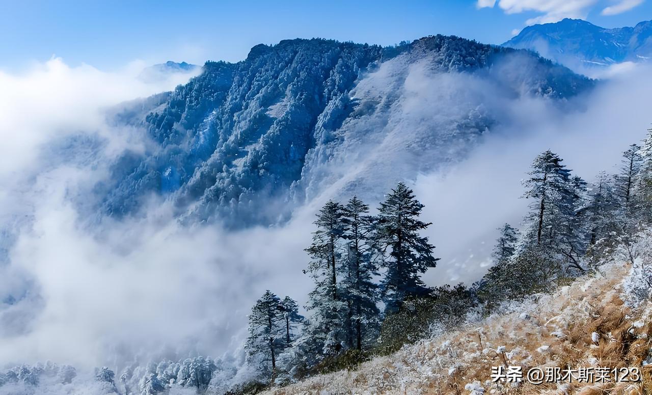 《头条邀对》
上联:天寒地冻千秋雪(头条)
下联:海阔河宽万里船(原创)
(网图