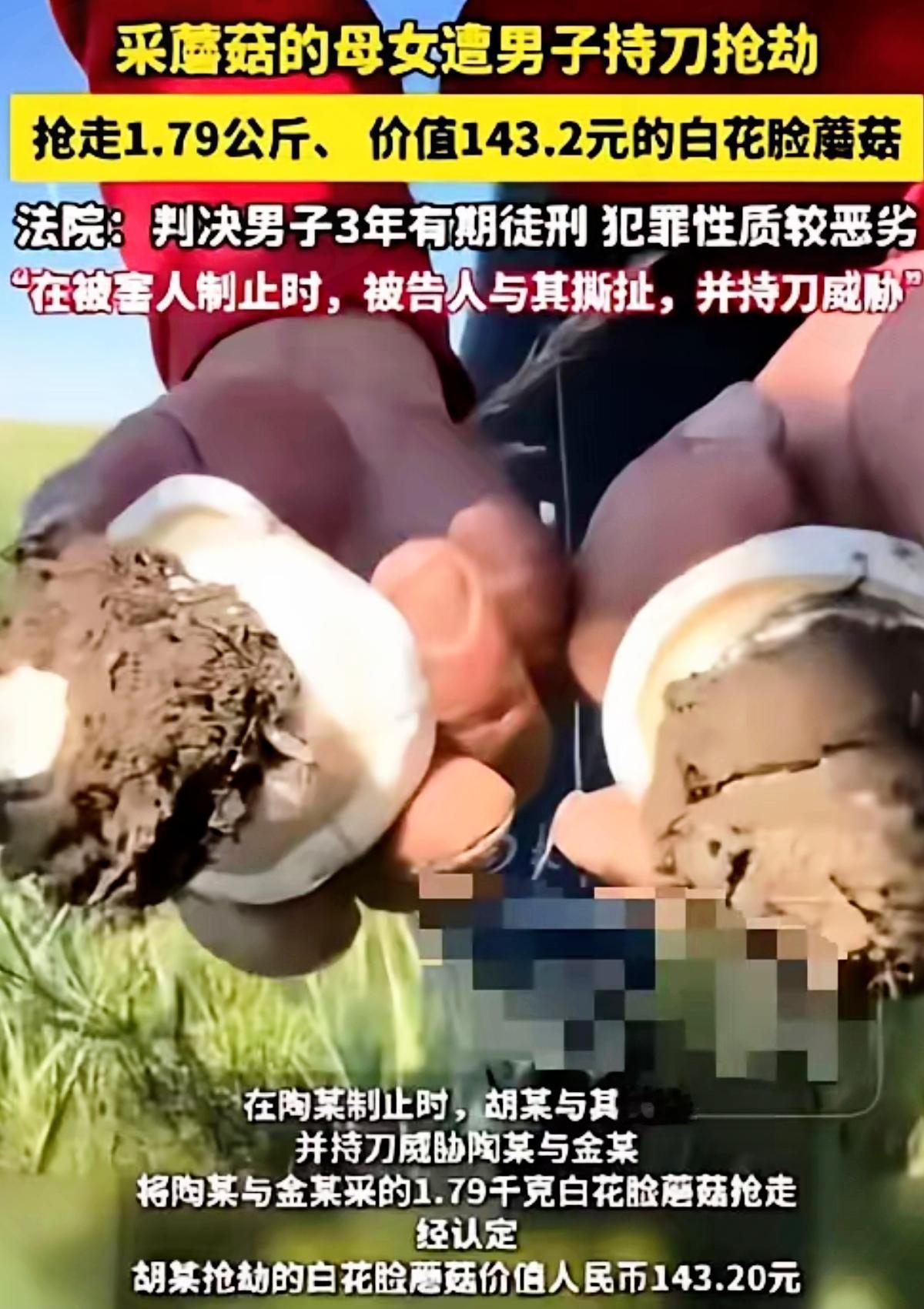 脸都不要了！内蒙古男子为抢1.79公斤白花脸蘑菇，竟持刀威胁采菇母女，殊不知14