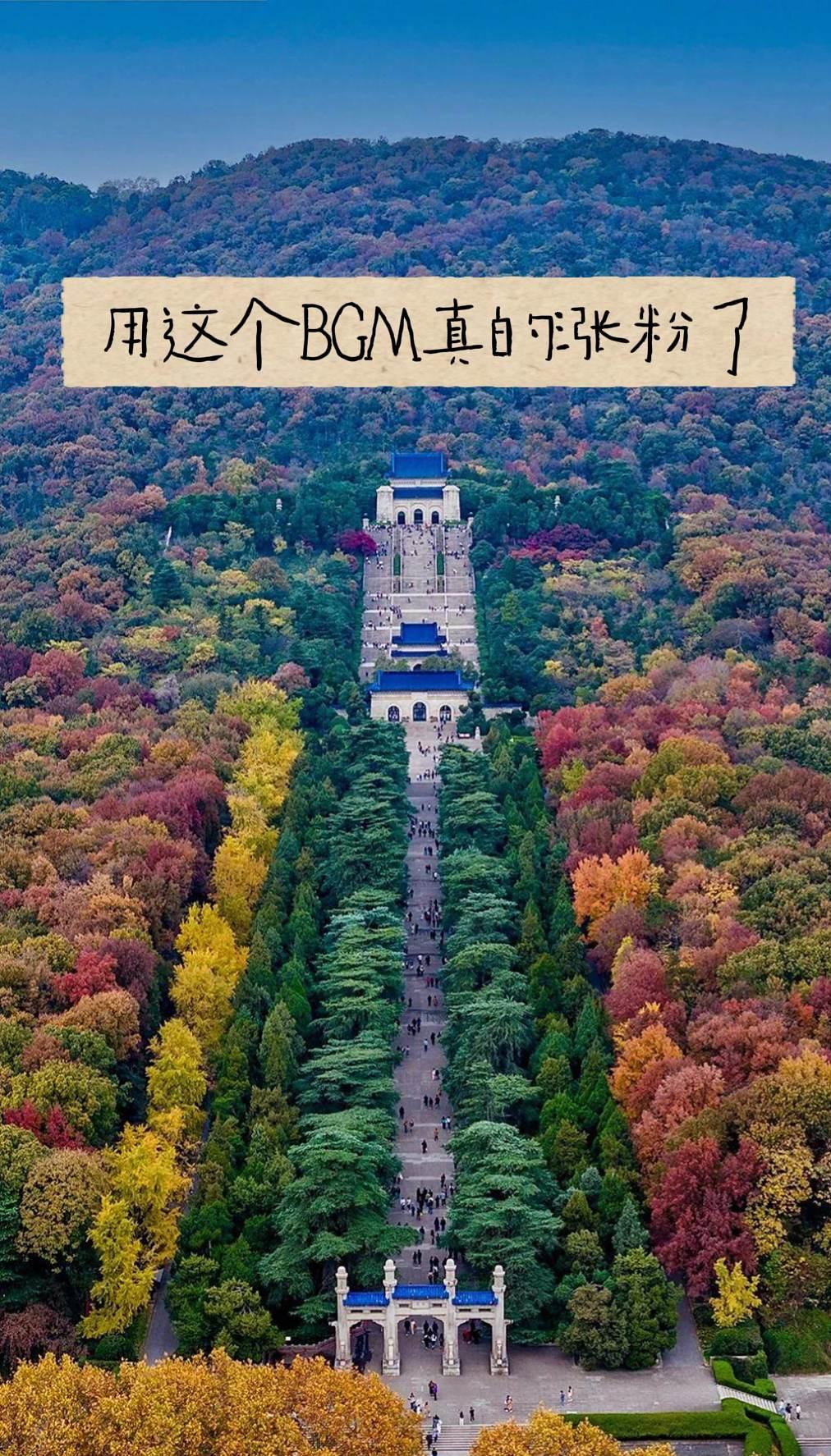 用这个bgm自带流量。
