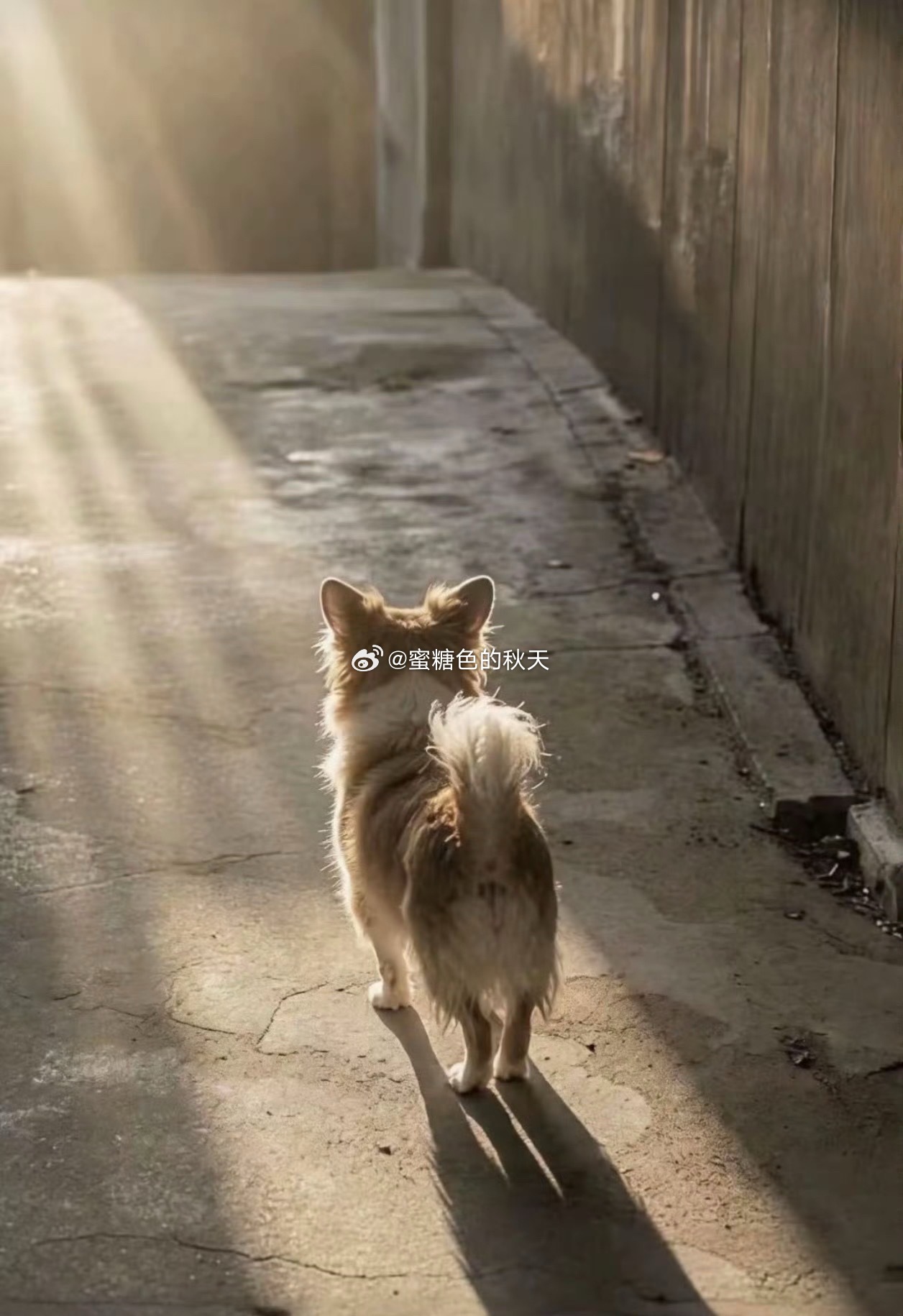 真的发不出去