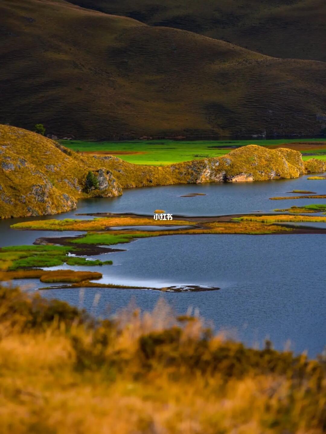 川西这个漂浮的秘境海子，居然无高反