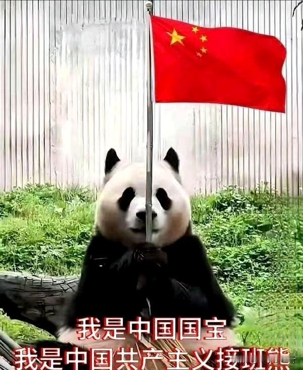 今年最舍不得删的照片