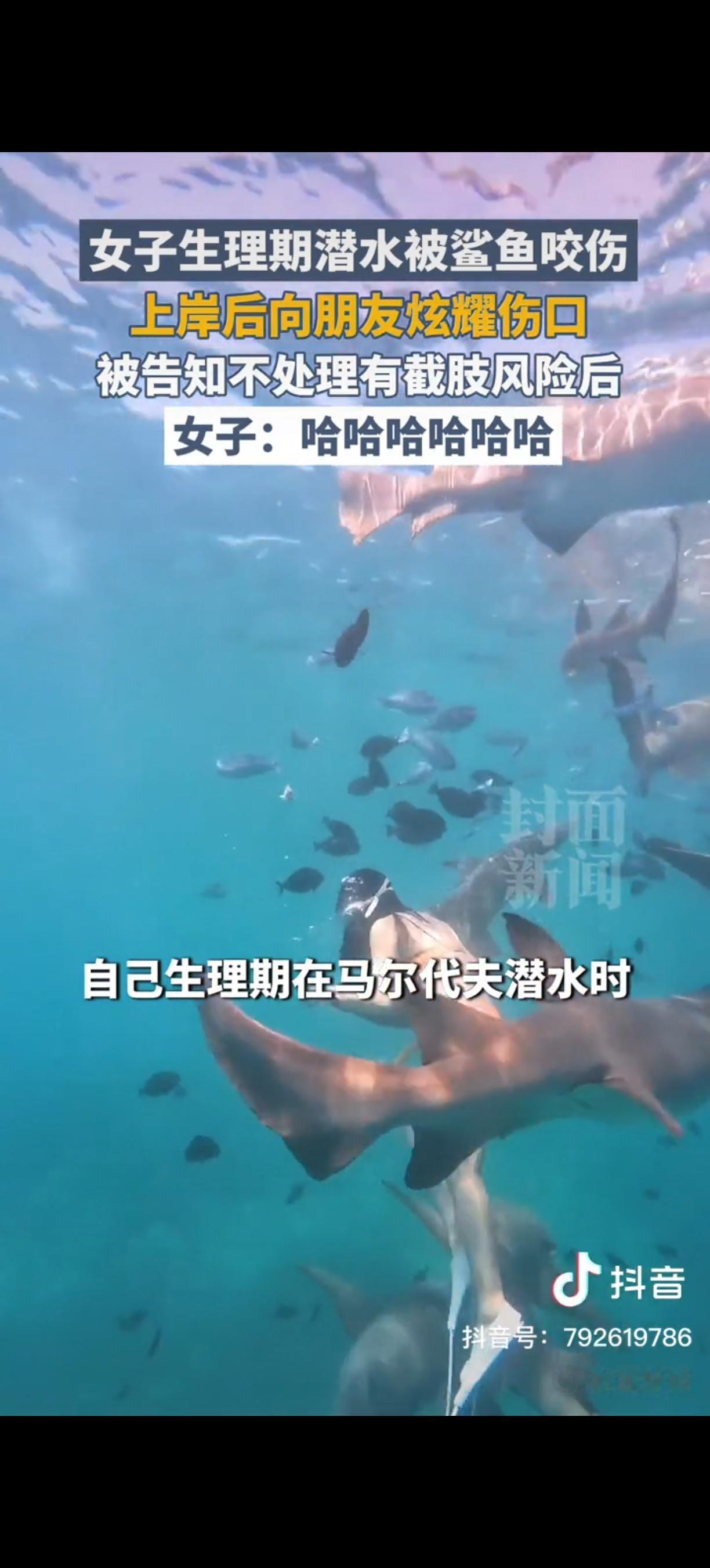 上海，一女子去马尔代夫旅游，生理期来了却还坚持潜水，结果被鲨鱼咬了，朋友都好心告