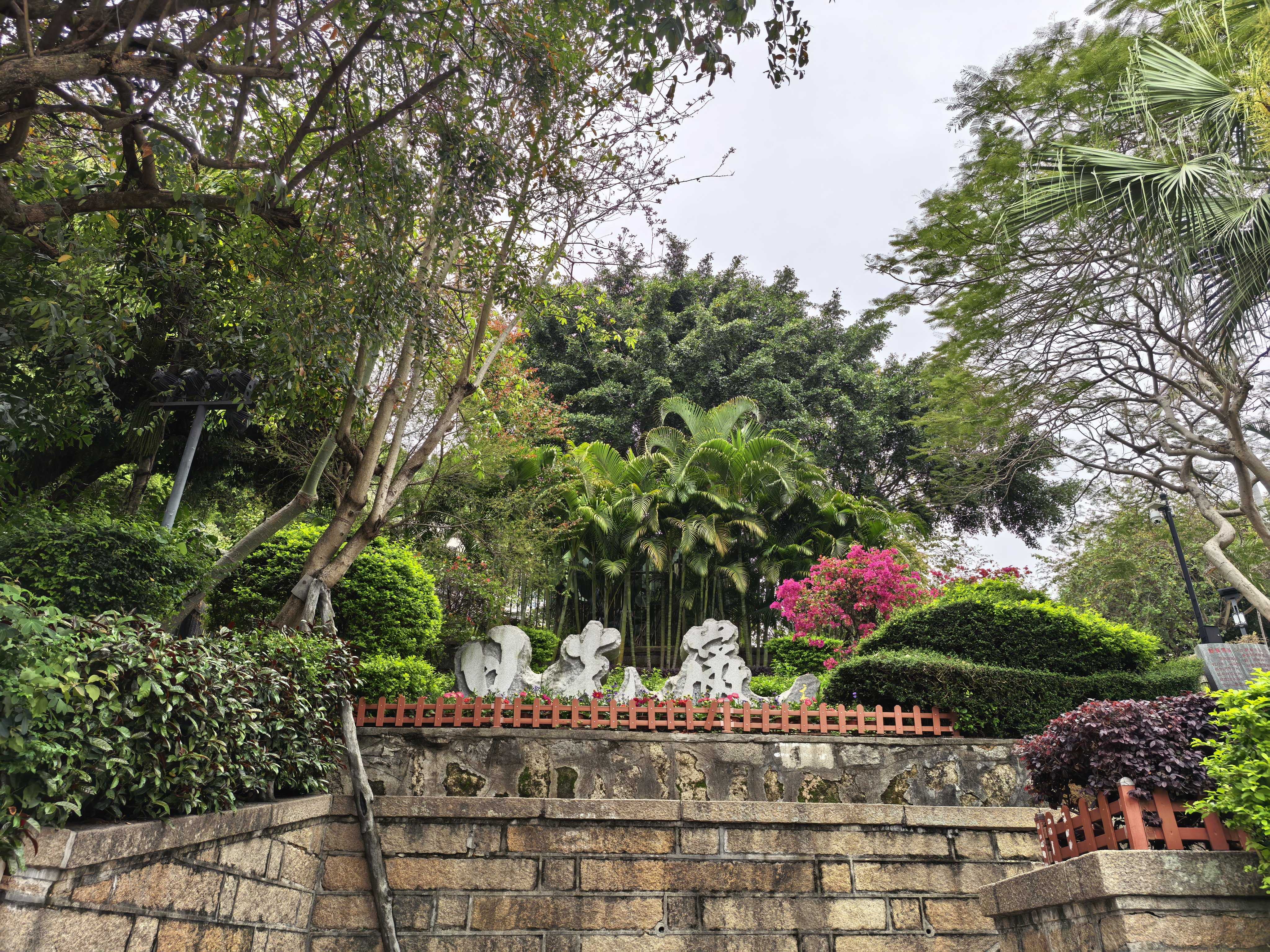 到厦门了，今天鼓浪屿逛了逛，讲真的，感觉没啥可玩的啊，干溜达了16000步