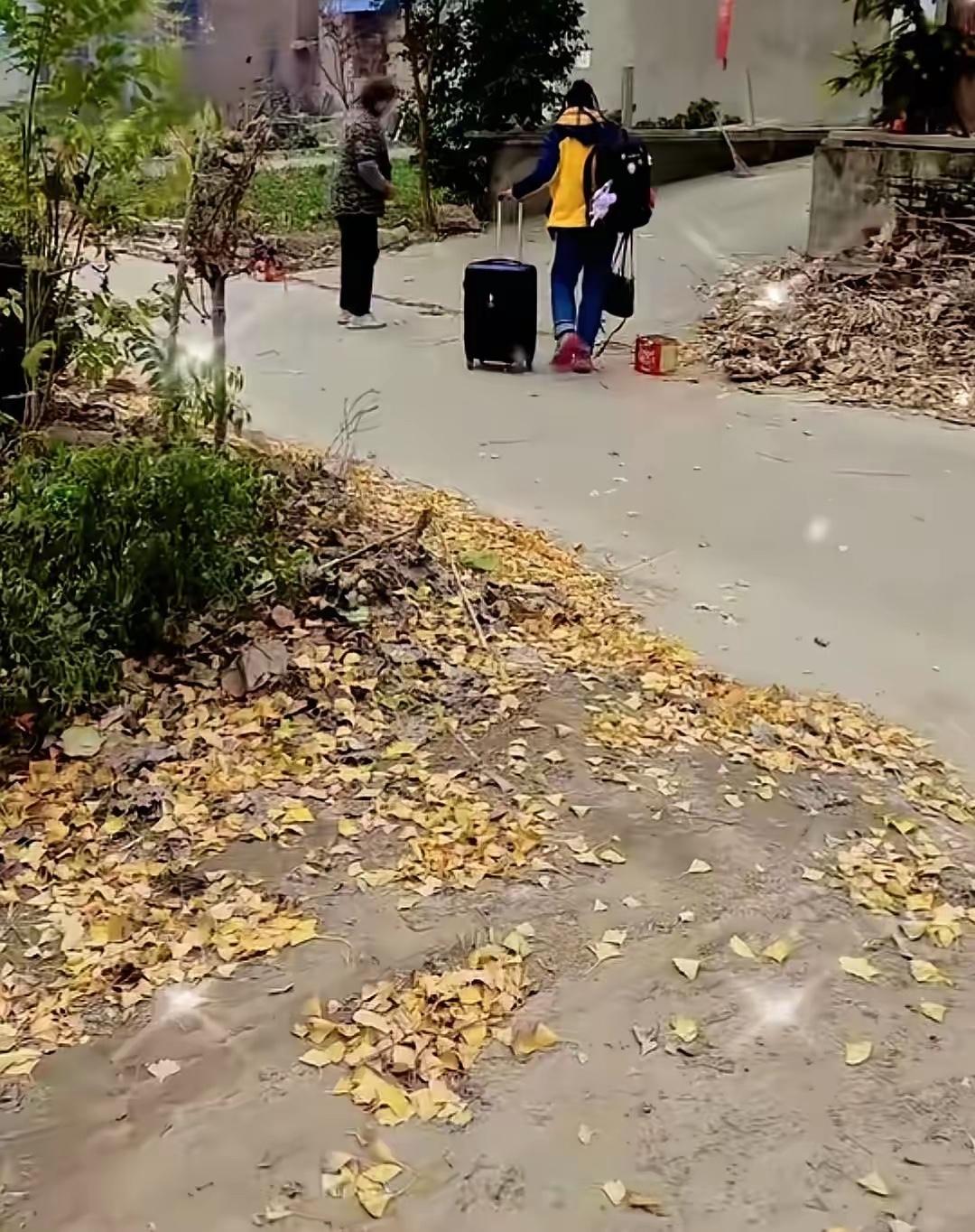 冠军回家，鞭炮都没响两声。村里人第二天才知道，全运会金牌得主许紫春已经吃完晚饭，