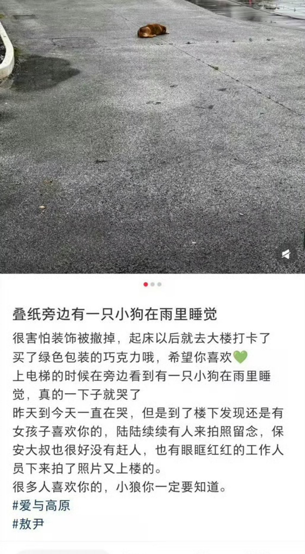 拿流浪狗当代餐，狗同意了吗我都说了我有敖尹的地址，怎么还没有人找我给敖尹定外卖，