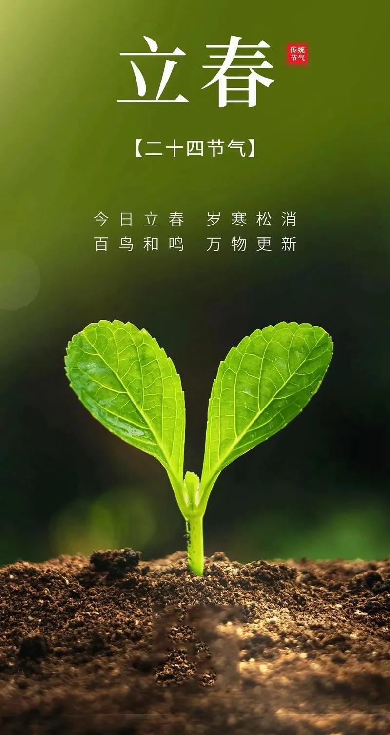 立春，生命复苏的开始，用高度自律管理好自己，你要的，时间都会给你春天你好