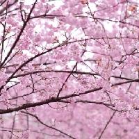 我的今日状态：💰期待暴富
我这里的天气：☀️晴天