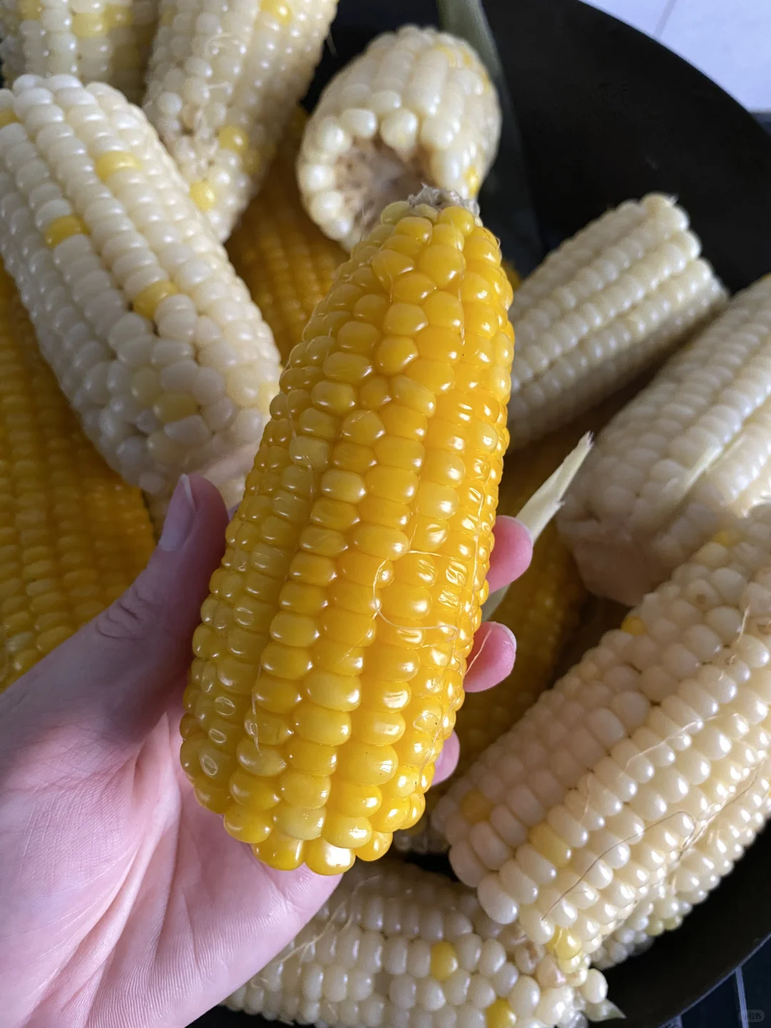 黏苞米🌽煮熟了😋