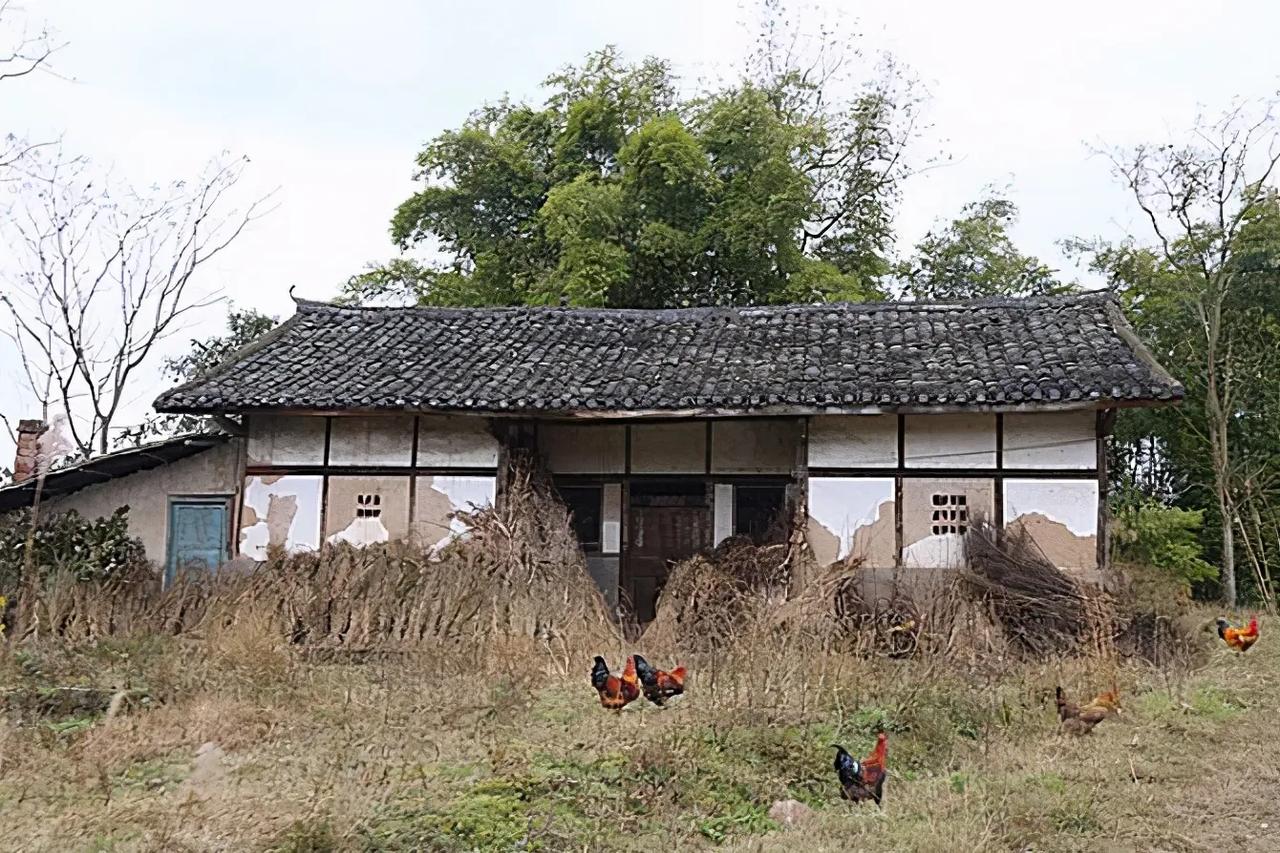 许多人吐槽宅基地不能自由交易，其实，不能自由交易才是对农民的最大保护！

一旦允