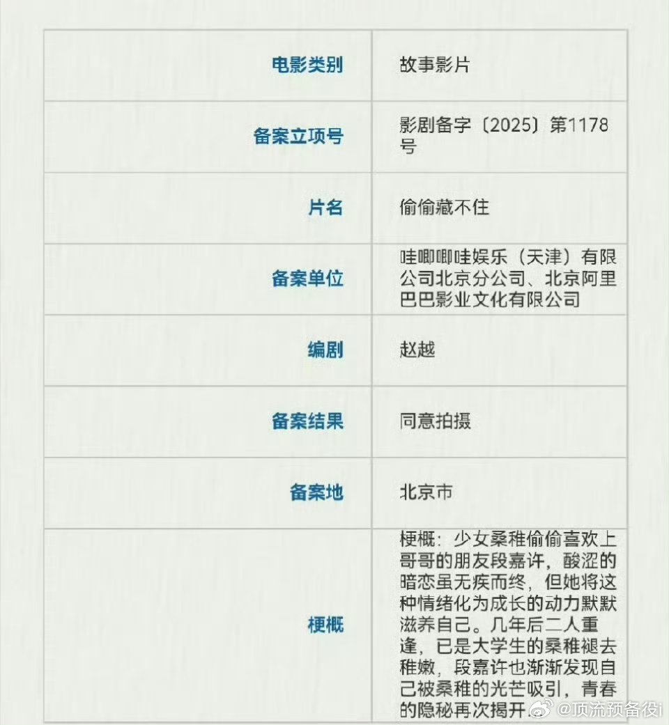 🍉电影《偷偷藏不住》阵容朱珞宁·饰·桑稚周皓崎·饰·段嘉许夏浩然·饰·桑延一个