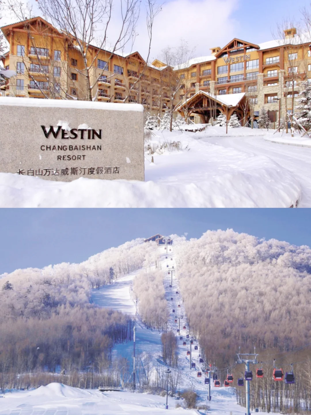 🏂长白山喜来登威斯汀1.5k住！不约可退！