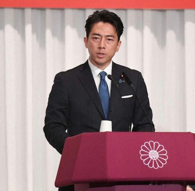 删了！日本防卫省今天公布2026年版防卫白皮书，"台海攸关日本安全保障"这句话被