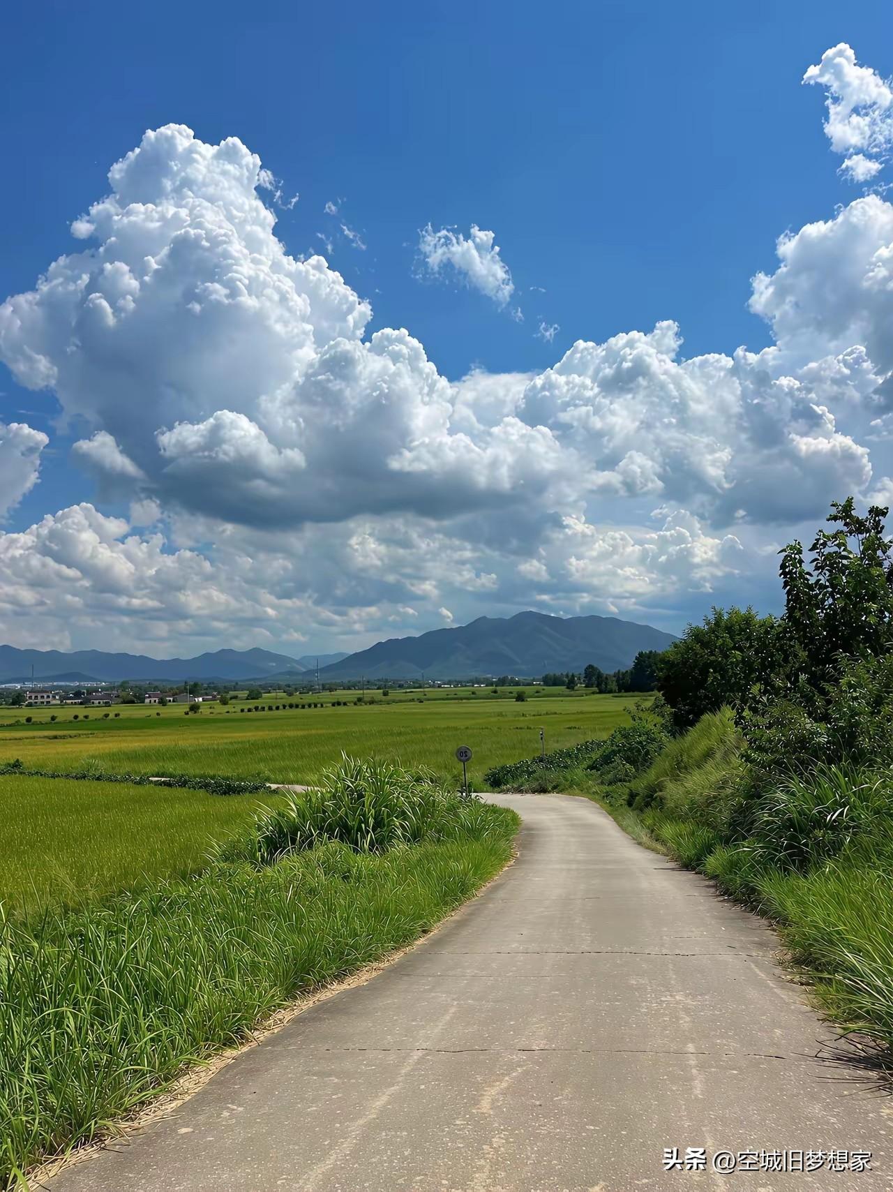 每次看到这样的路，我都会想起小时候的夏天。那时候没有空调，没有手机，我们的快乐，