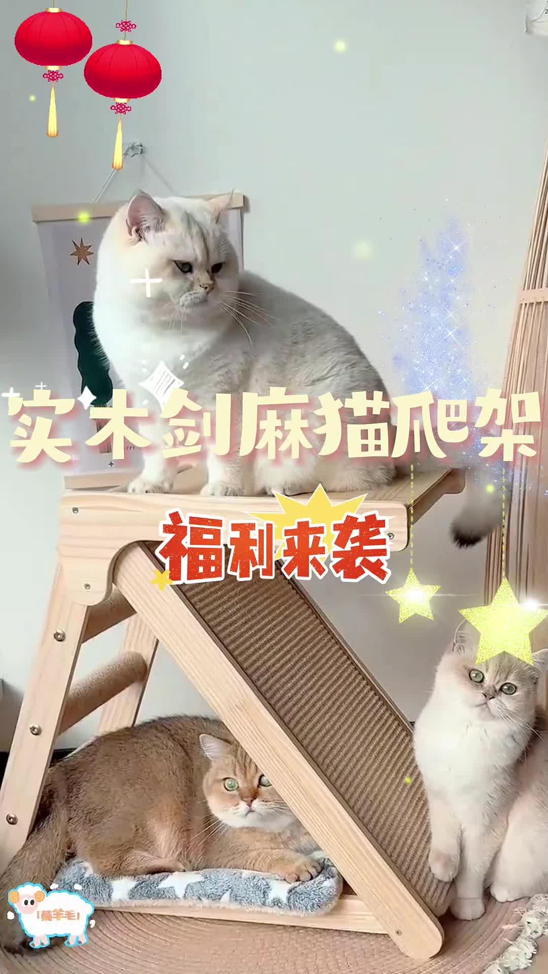 三折叠的怎么抓都有面的多功能猫抓板，真的太实用了，领先猫抓板行业20年！