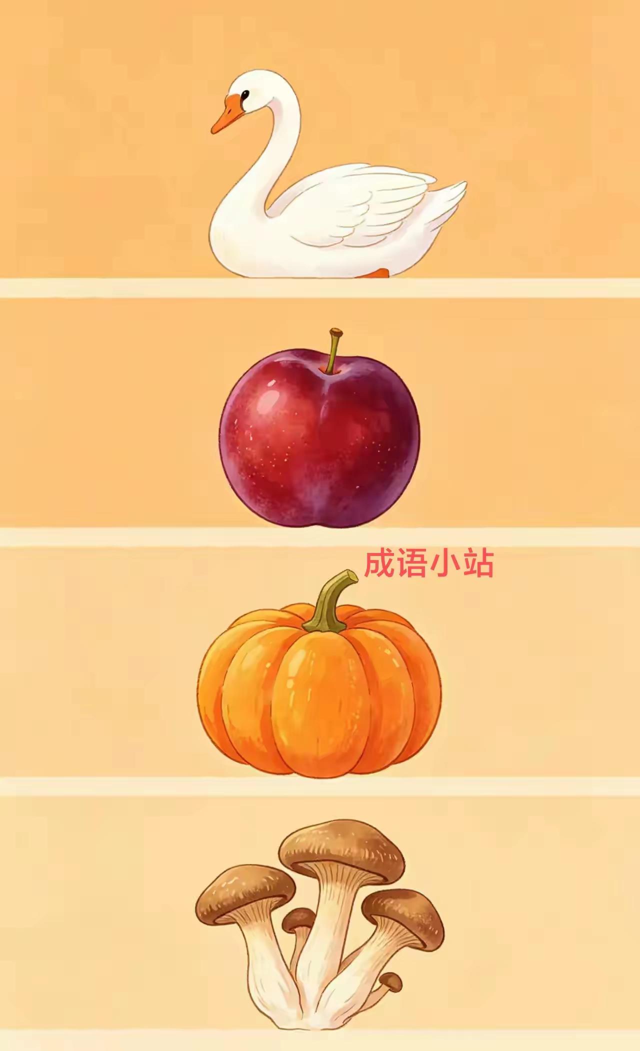 这是什么成语？这个更难，这4个东西怎么能联系到一起呢？猜不出来，太尴尬了。大白鹅