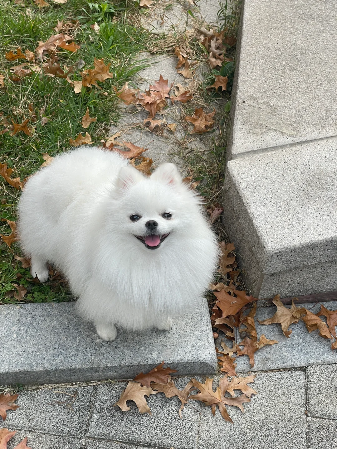 和我的宝第二个秋天