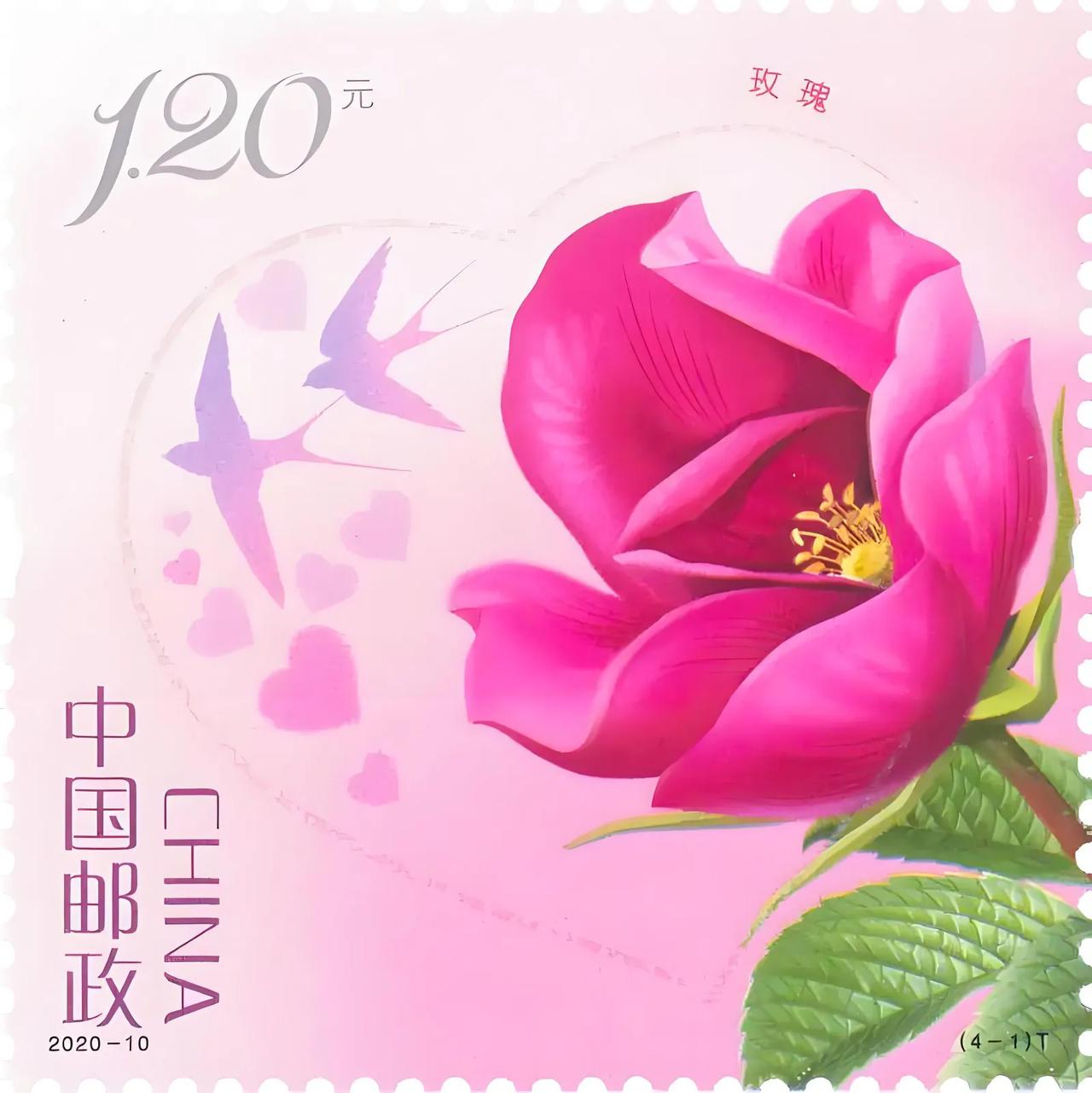 玫瑰在阳光的照射下显得格外娇媚动人，
那美丽的花瓣仿佛在诉说着浪漫的故事。