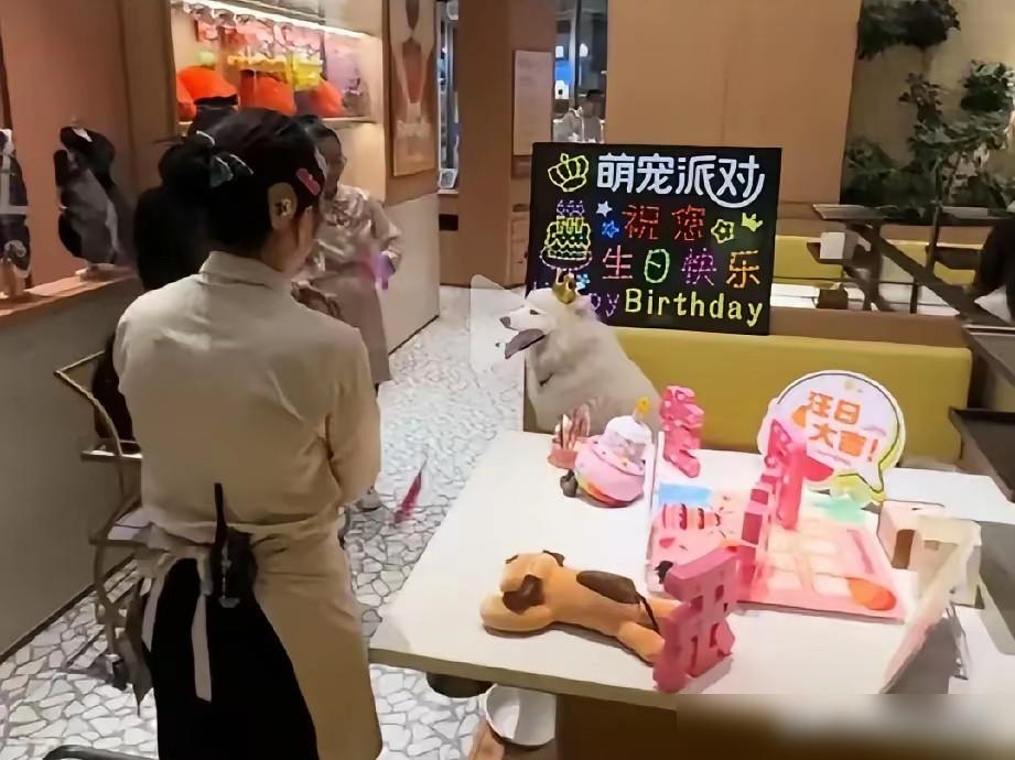 做人不进海底捞，当狗为奴还费钱。把宠物狗当亲人、当祖宗是爱狗人士的自取其乐，狗只