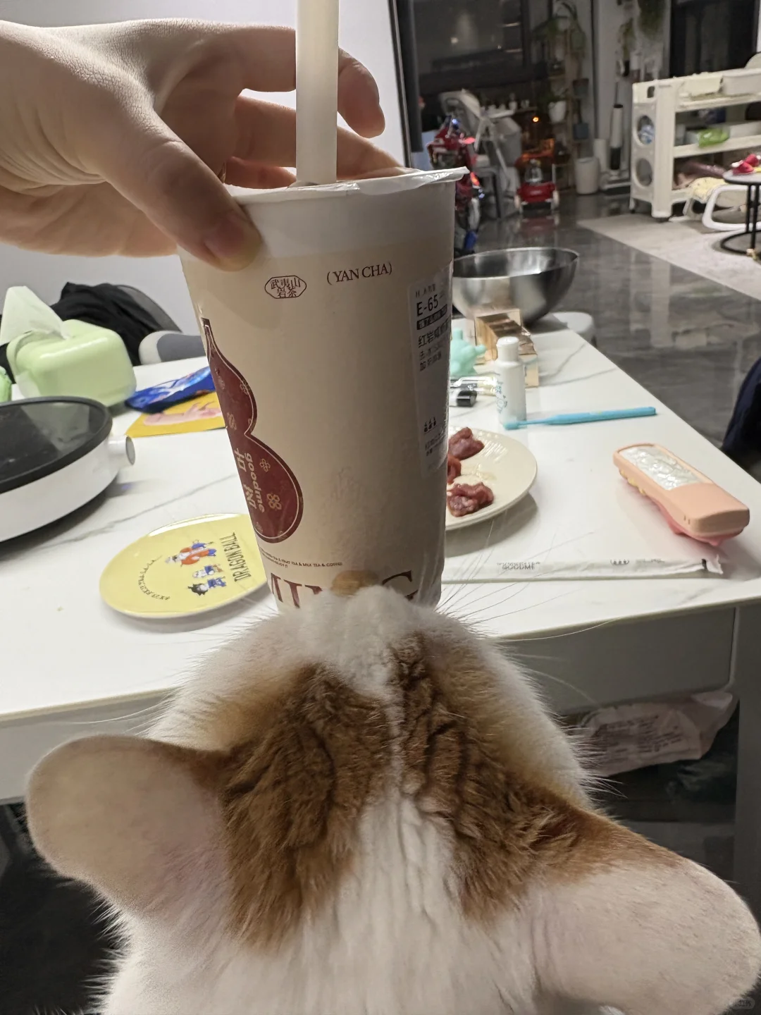 奶茶一定要让它先喝