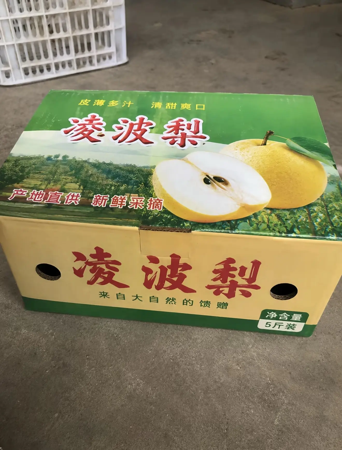 凌波🍐