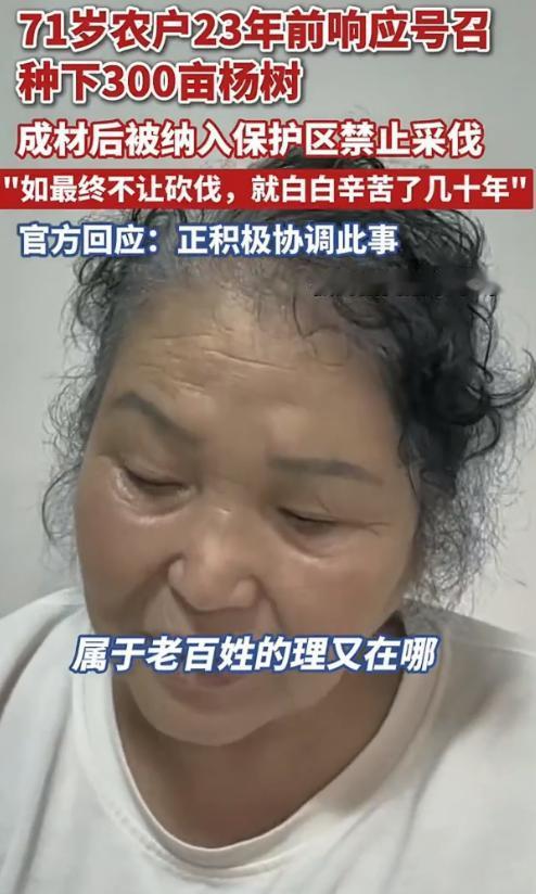 黑龙江齐齐哈尔，一 71 岁大妈，23 年前承包了 360 亩地，种了 3 万棵