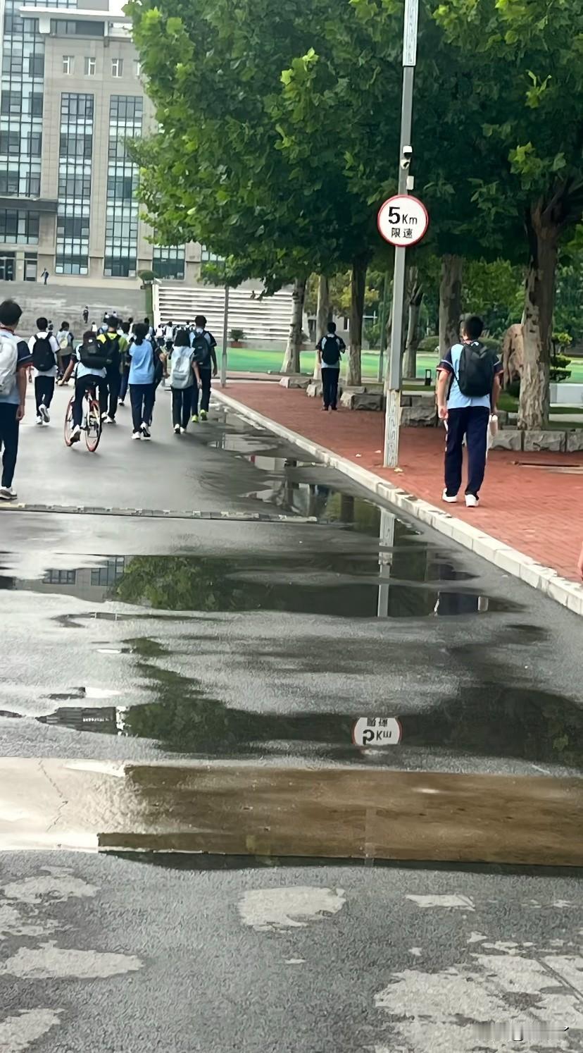 三年高中生涯开始了……
莫名的流泪了，我大儿子从幼儿园我就抢着跟他妈接，从初一开