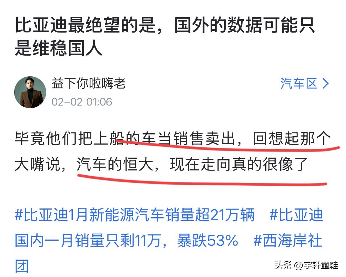 网友：“比亚迪最绝望是国外数据只能维稳国人，毕竟把船上的车当卖出去的，汽车界的恒