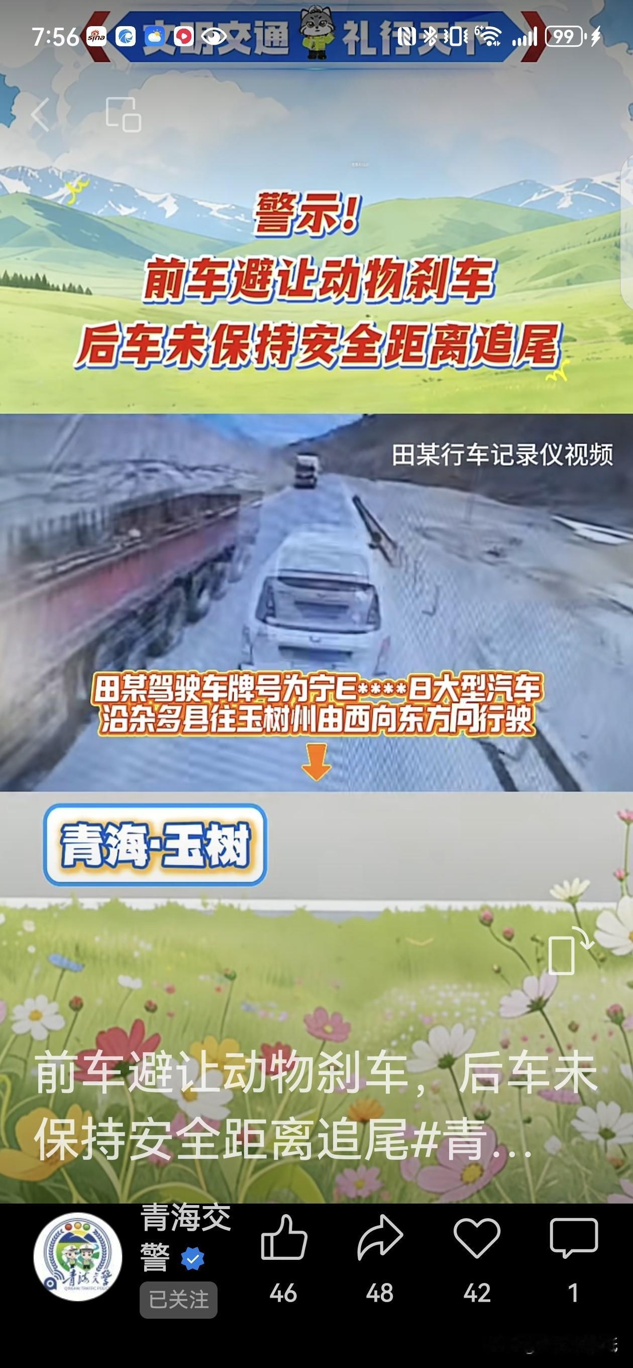 青海一小车为了躲避动物紧急刹车，被后面紧跟的大车追尾，谁担责？

今年4月25日