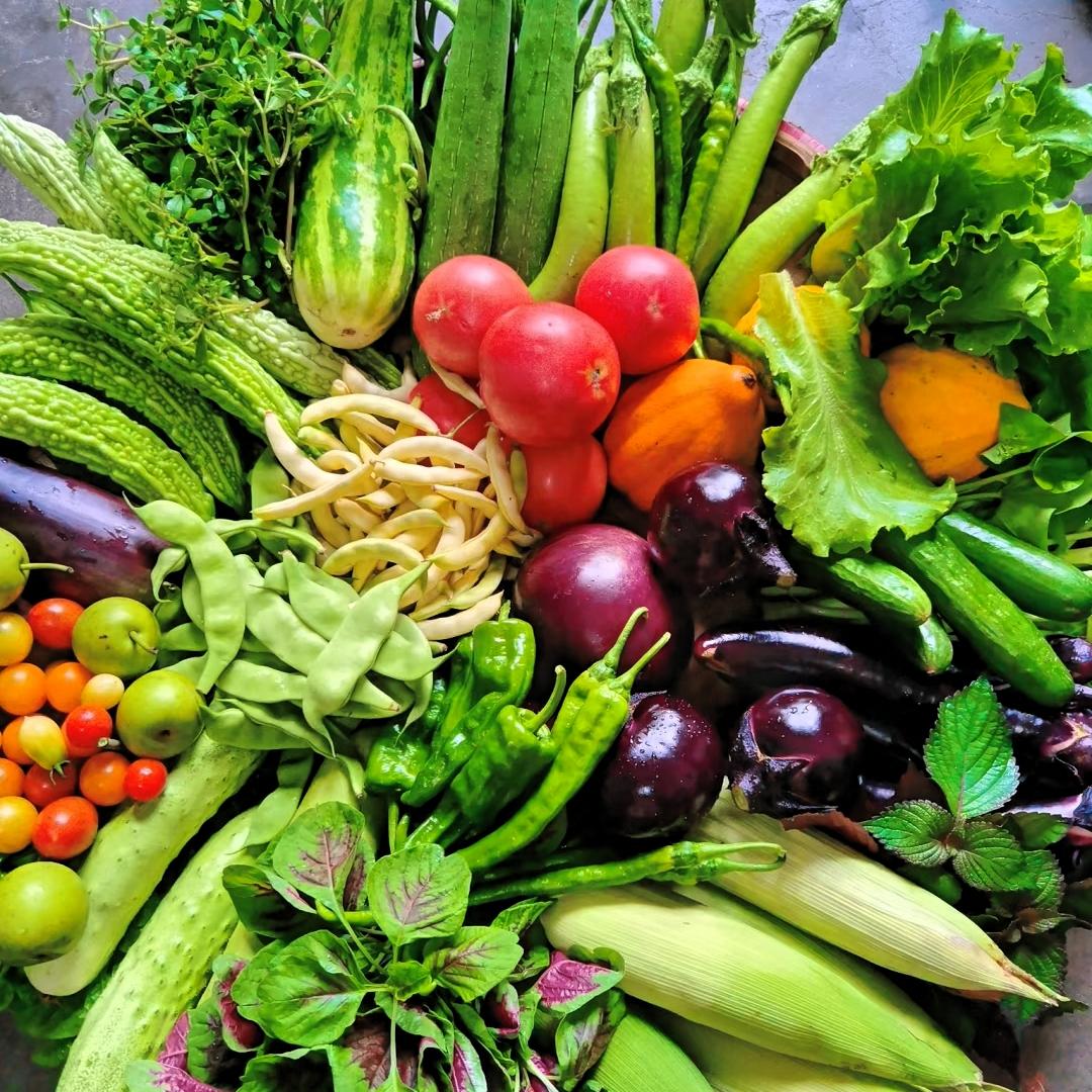 早起逛菜场直接被菜价吓退！问菠菜15元一斤，我以为耳朵出问题，确认后直接懵了——