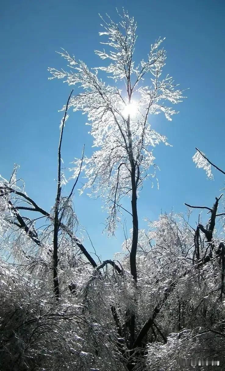 冰天雪地，银装素裹。人间烟火常香，四季风景长新，诸多事物，冷热转换，繁简交替，诗