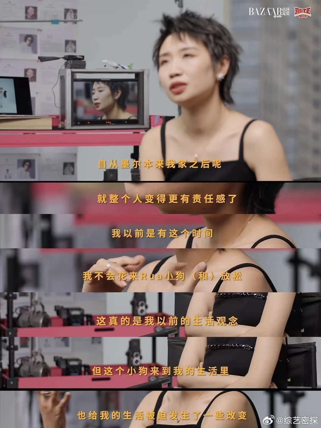 养宠物的人备孕分离焦虑怎么办谁懂养宠备孕的两难处境，小鹿家墨尔本对噪音敏感清晨常