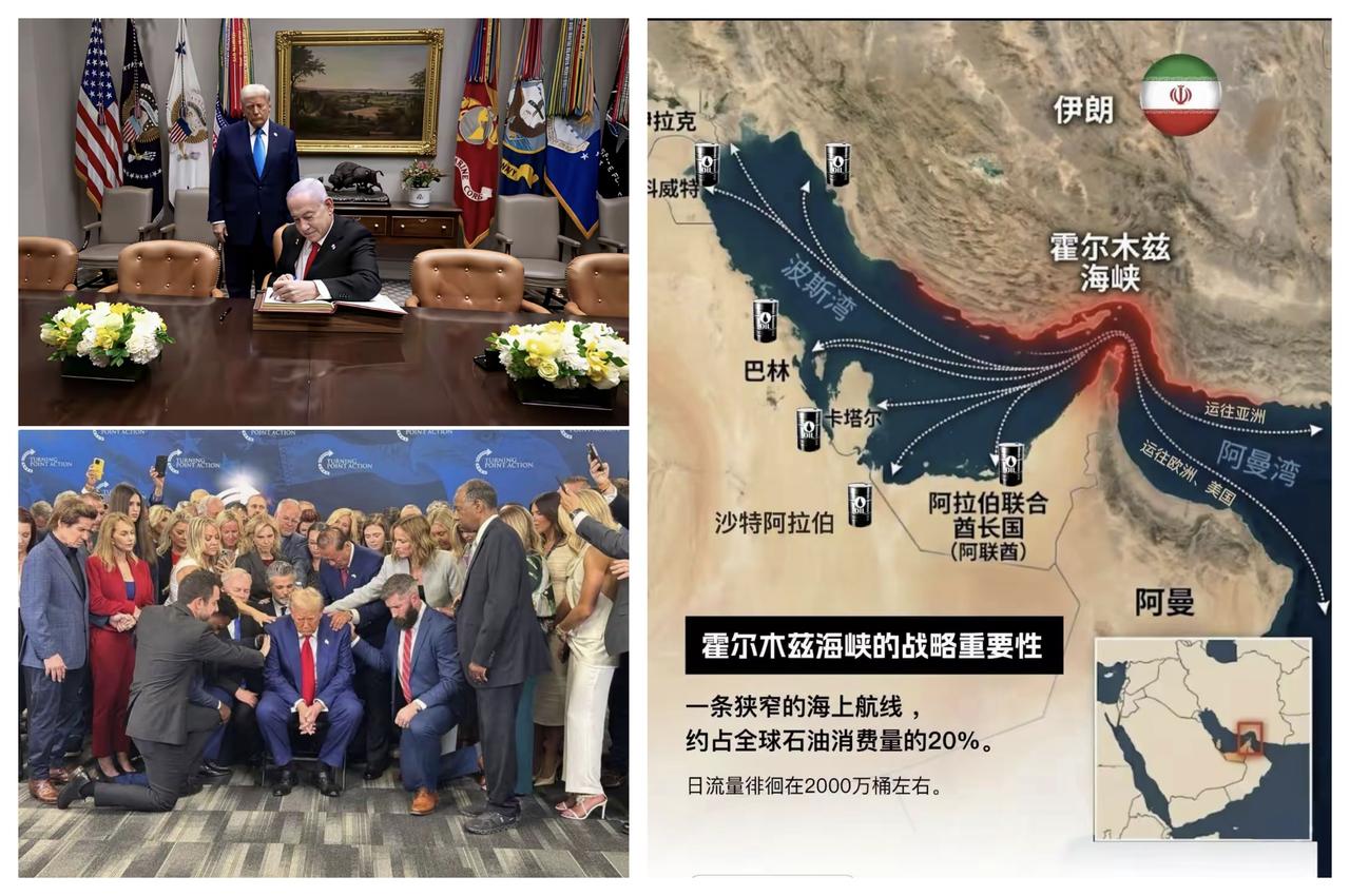 ✨伊朗要跟美国打超限战吗？✨

🐼 据报道，伊朗计划打击亚马逊、微软、谷歌、英