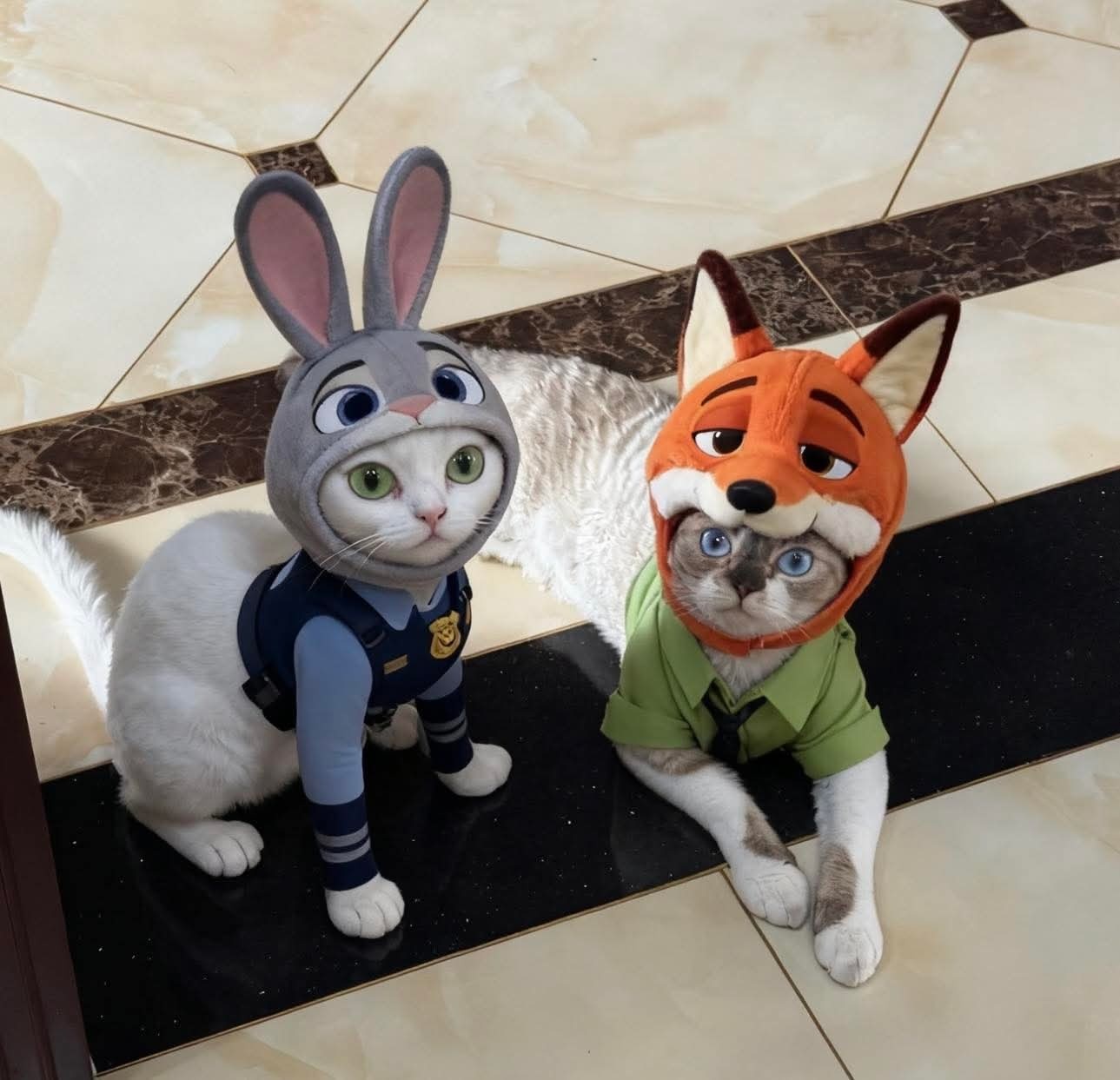 今天有没有觉得很震惊的转会期消息呢？