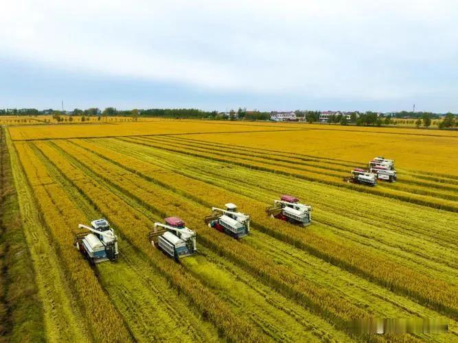 冬日生活打卡季以前的粮食像金子般珍贵，但钱更像钻石一样难赚，都不容易。任何交易都