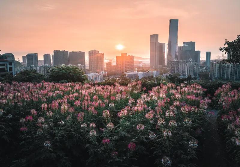 能送给我一句处在低谷期激励的话吗慢慢来，熬过黑暗与煎熬，扛住眼前磨难，你终会拨开