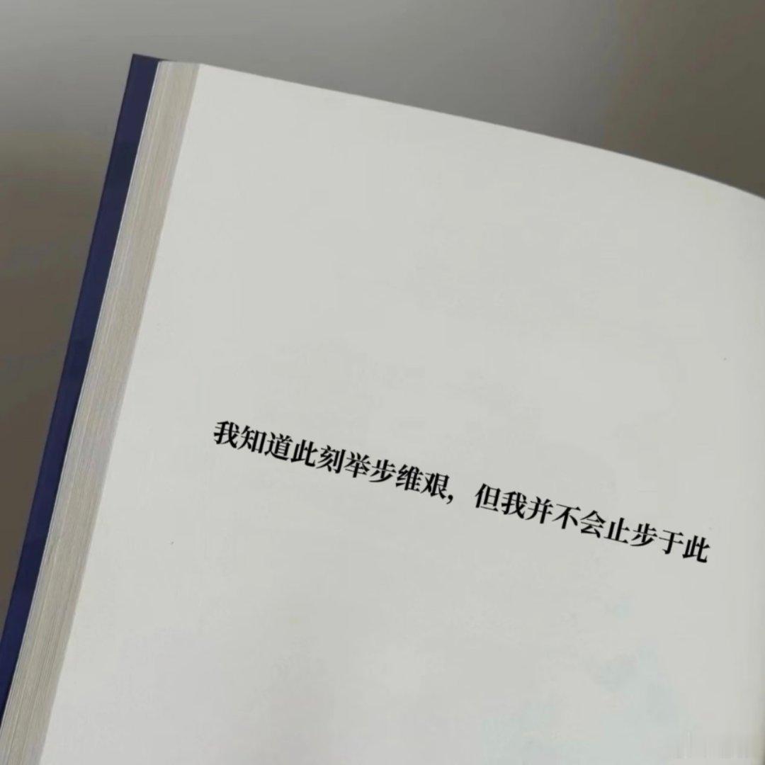我们终将上岸，阳光万里，鲜花沿路开放。 