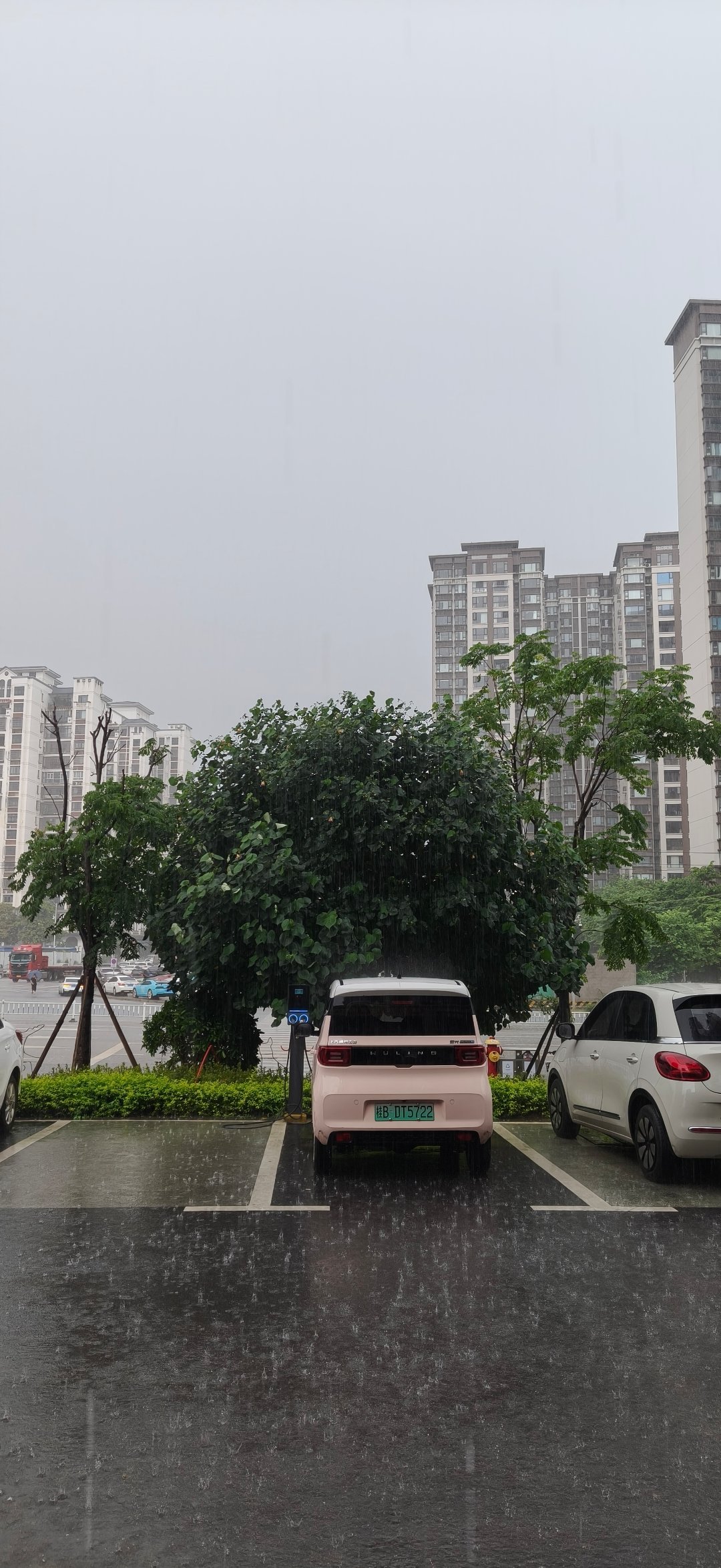 下雨天开车，路都看不清 