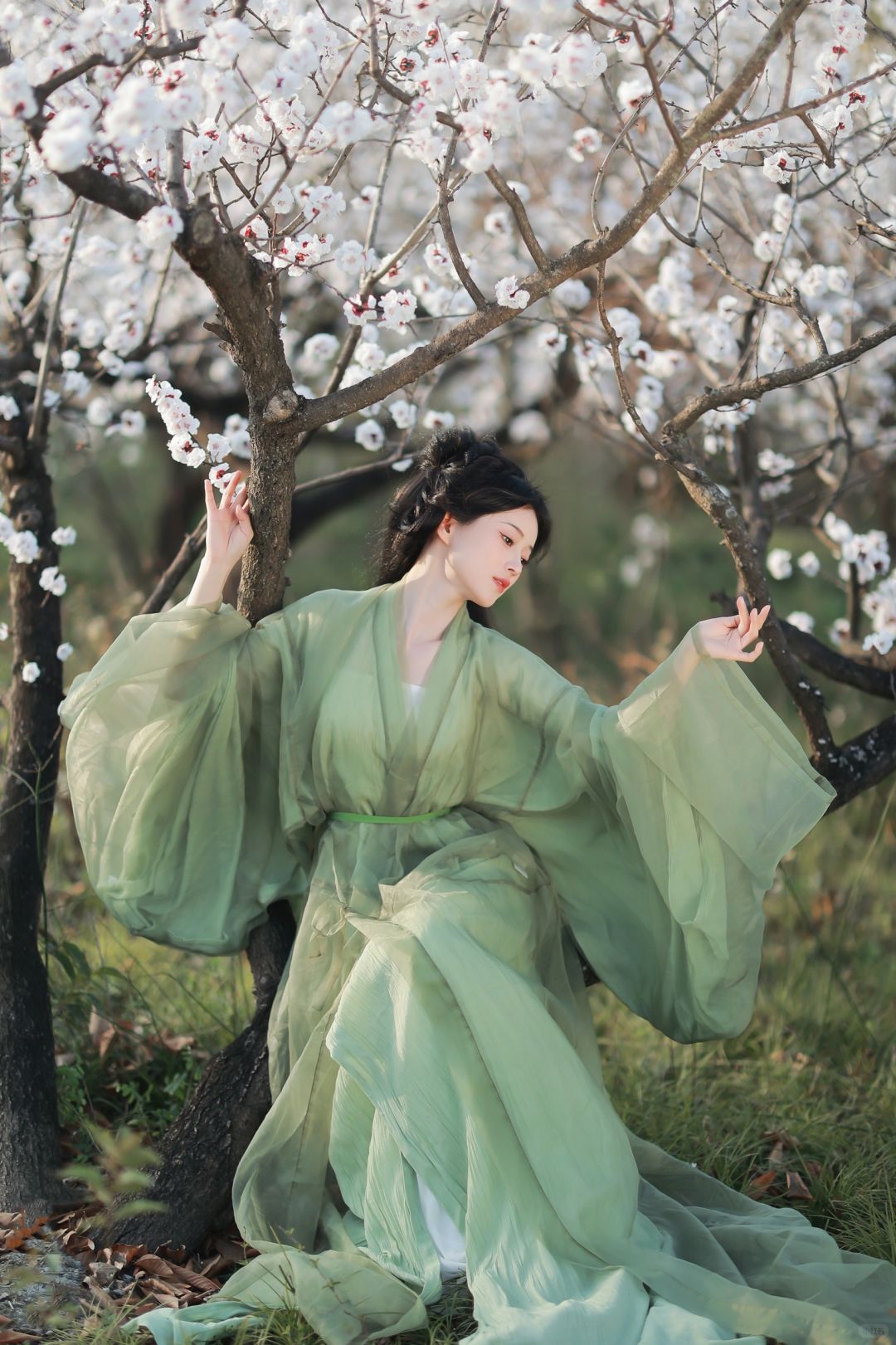 春日游，杏花吹满头 。