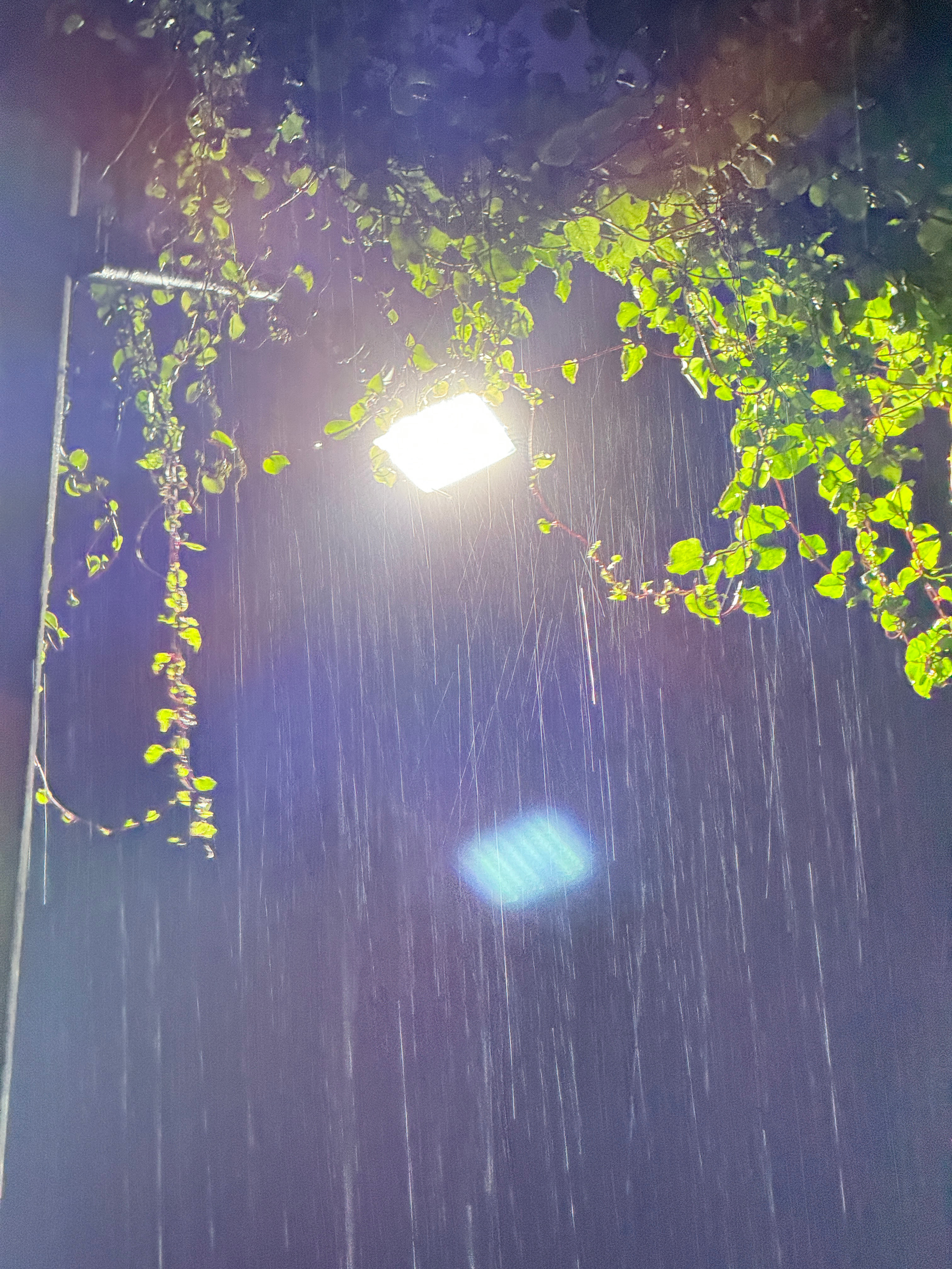 天漏了 ​​​