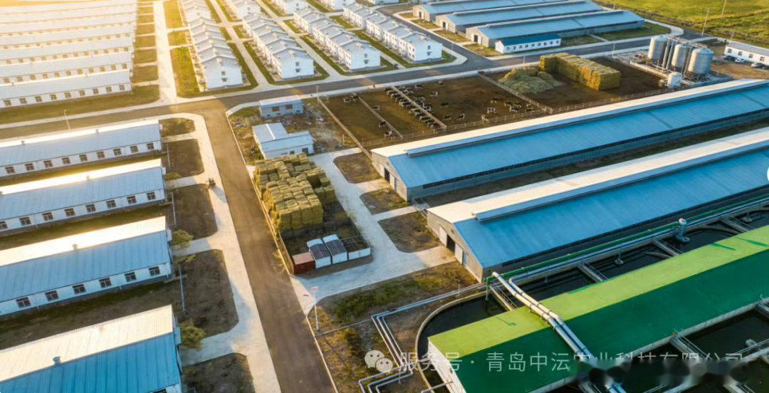 以前总觉得农业发展平平无奇，青岛直接打破固有印象，打造畜牧、农产品加工两条千亿产