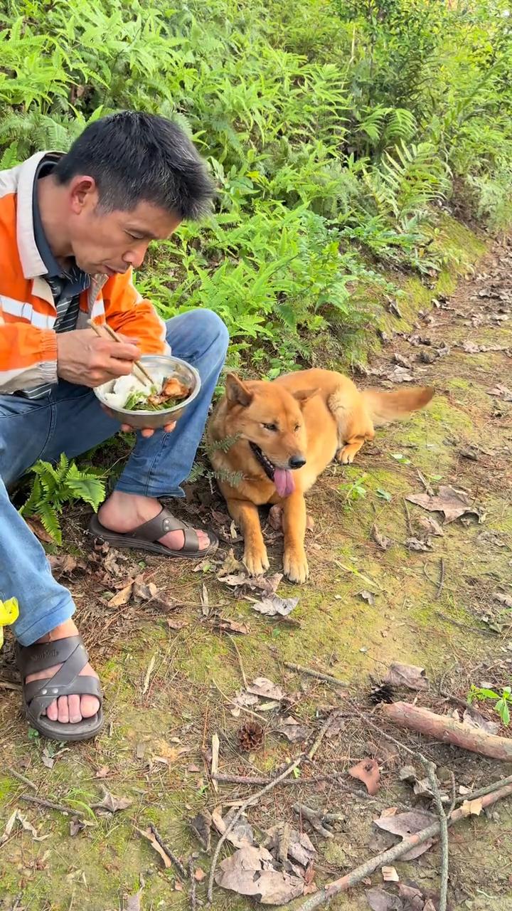 大黄你去送一下饭，我还要洗衣服。还是在原来那山上。吃饭了。大黄没有吃，放在盆里又