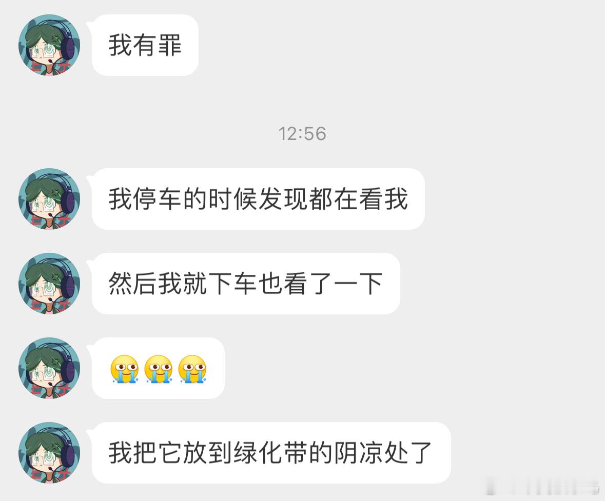 #鸟粉投稿# 被车撞到的【金翅雀】应该是飞越马路的时候被撞的… ​​​